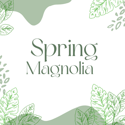 Spring Magnolias